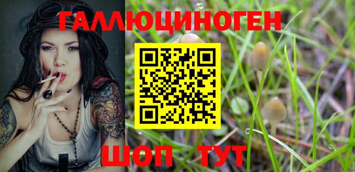 Туапсе  Галлюциногенные грибы Psilocybine cubensis  Вход с VPN 